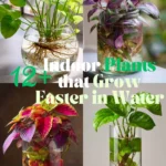 8 Indoor Plants That Grow Faster in Water